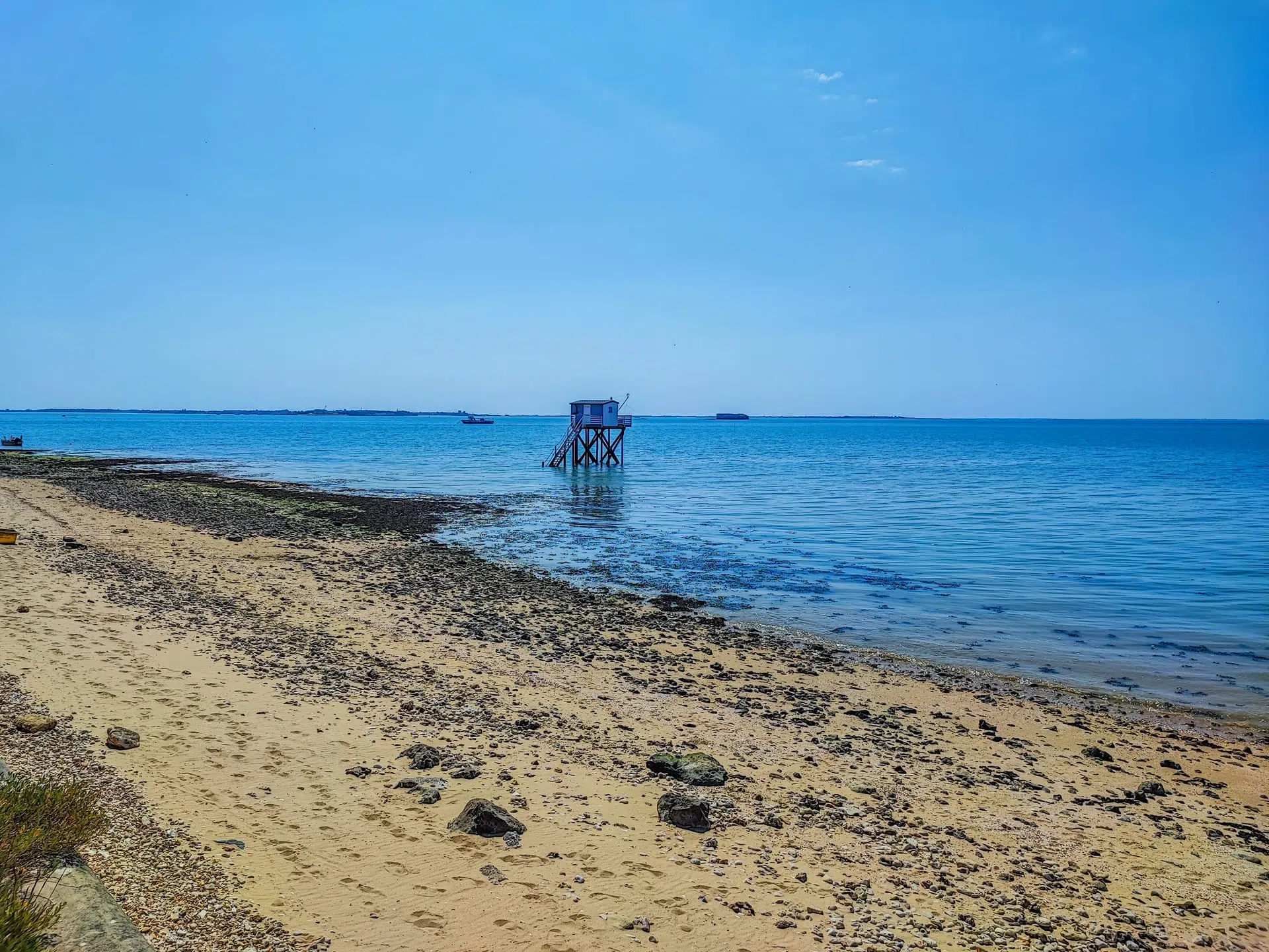 decouvrir les spots de peches a saint denis d oleron