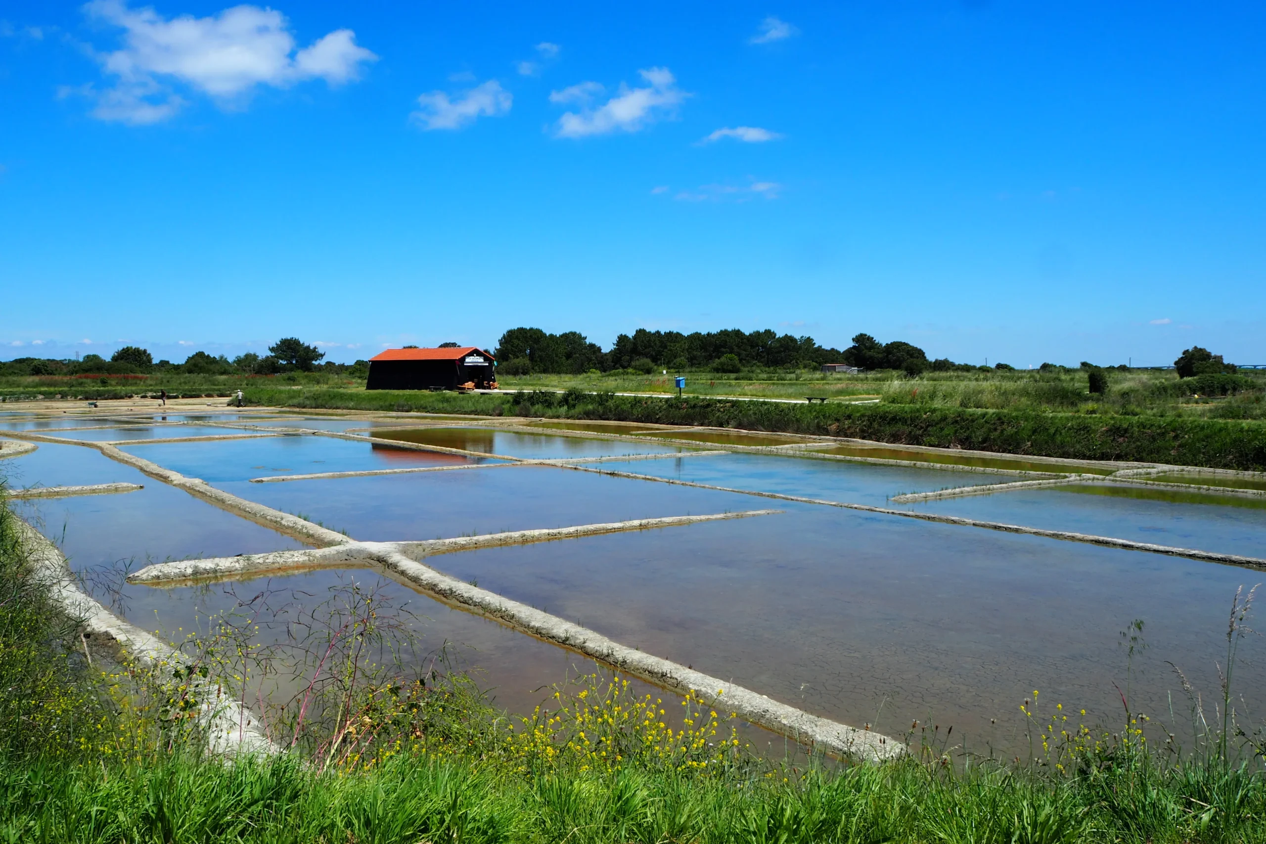 ostreicole site near camping la sabia
